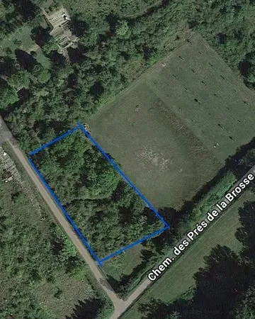Terrain boisé
