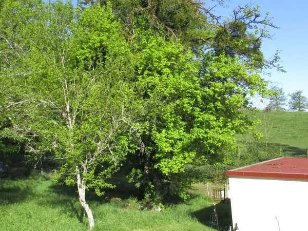 Terrain à vendre