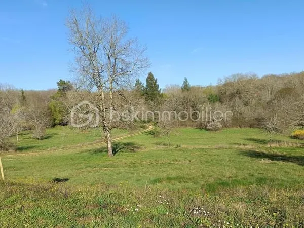 ✨ Au calme : Magnifique parcelle de 4 689 m² pour votre future maison