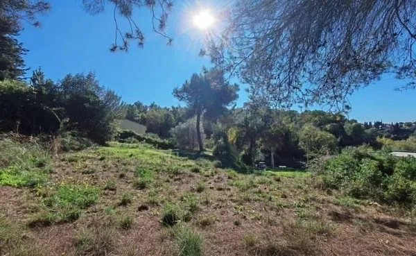 Terrain constructible 1455 m²