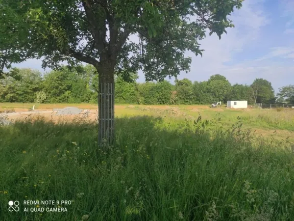 Terrain 1550 m²