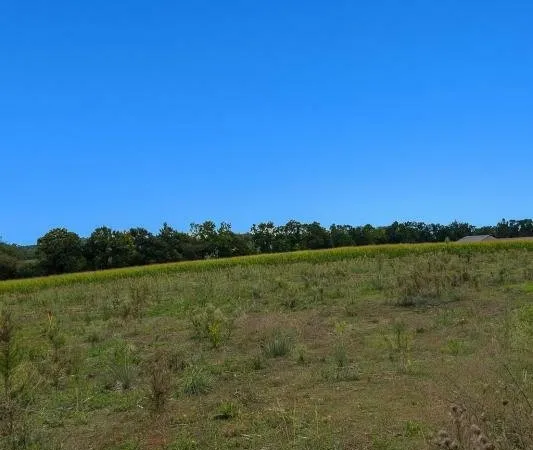 Terrain à bâtir Vente Savigneux  305m² 114000€