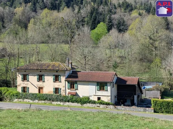 Maison 7 pièces 301 m²