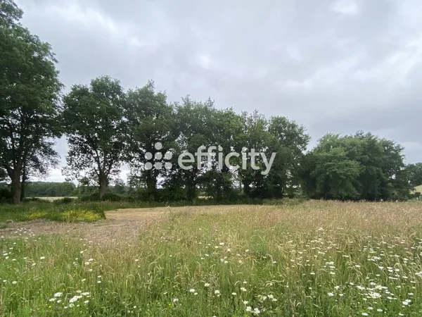 Terrain 706 m²