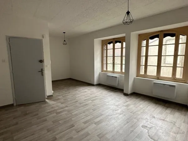 Grand Appartement 1 pièce avec cuisine ouverte