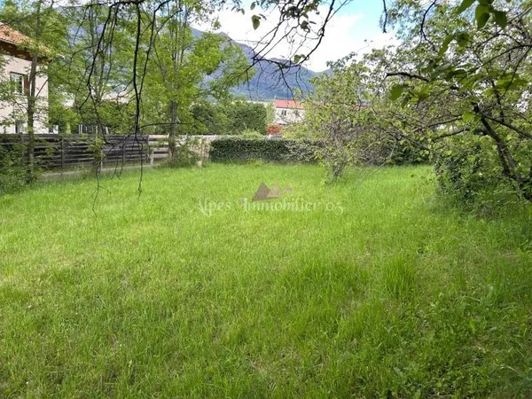 Terrain