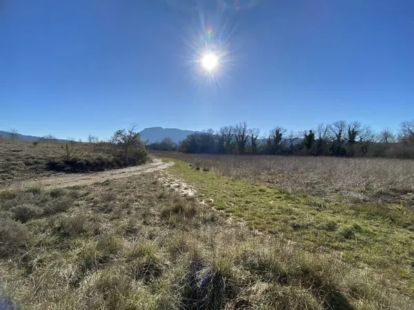 Terrain agricole