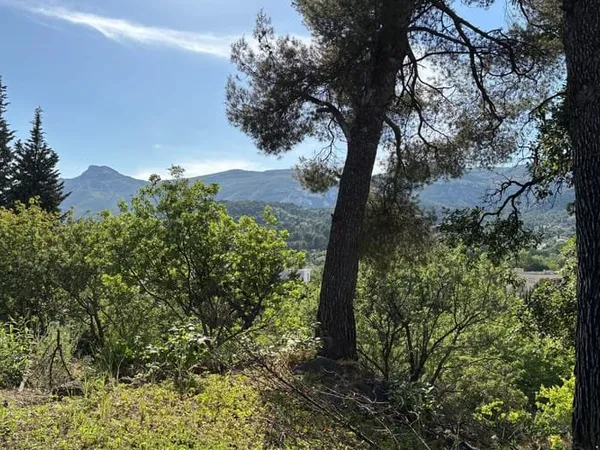 Terrain 1311 m²