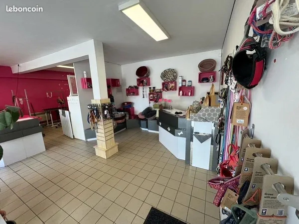 Commerce salon de toilettage