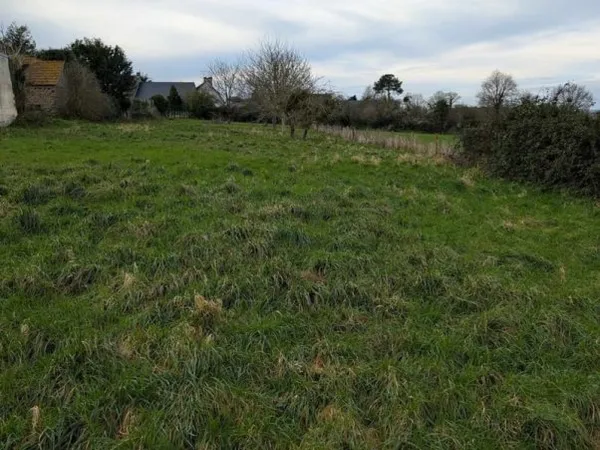 Terrain à bâtir Vente Courtils   65000€