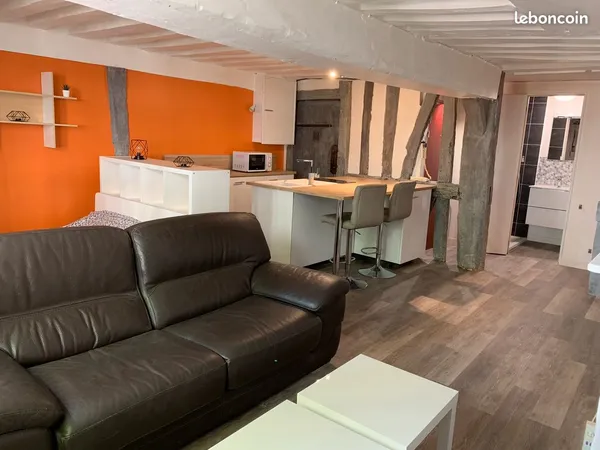 STUDIO 33m² "rue cauchoise"