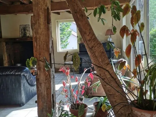Maison de plain pied individuelle avec jardin