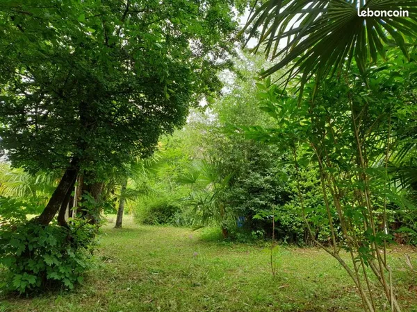 Terrain constructible entièrement arboré dans le village d'Aignan en Armagnac