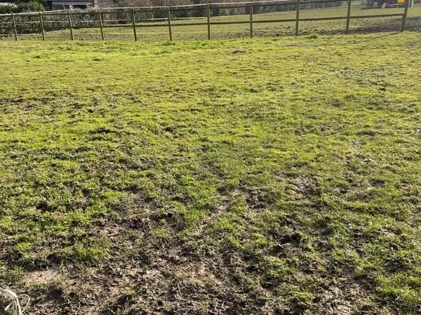 Terrain constructible 641m2
