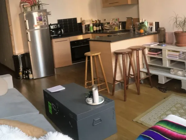 Loue appartement - T2 - 54m² - Lyon 1er