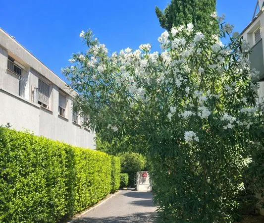 Appartement 2 pièces 31 m²