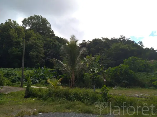 Terrain 3513 m²