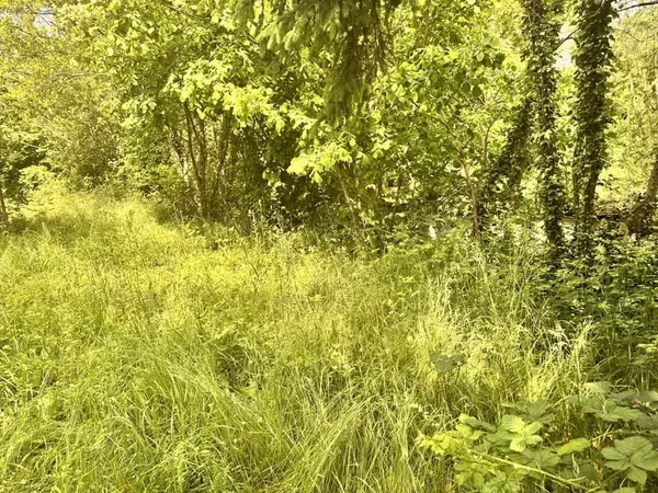 Terrain de loisirs de 485 m2 en bord de rivière.