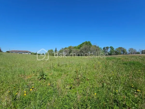 Terrain 1648 m²
