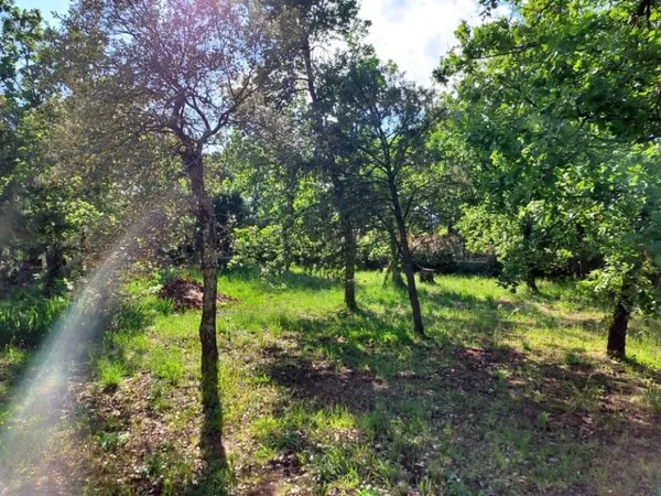 Terrain 722 m²