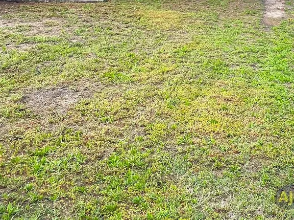 Terrain Cubzac Les Ponts 354 m2