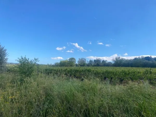 Terrain 460 m²