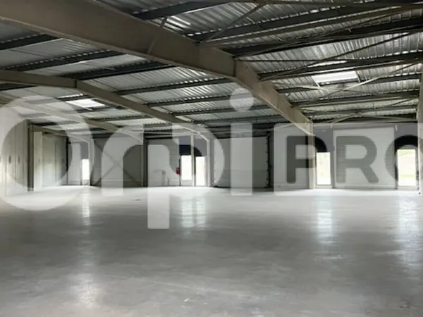Local d'activité 499 m²