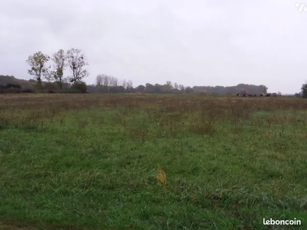 Terrain 3124 m² SOINGS EN SOLOGNE