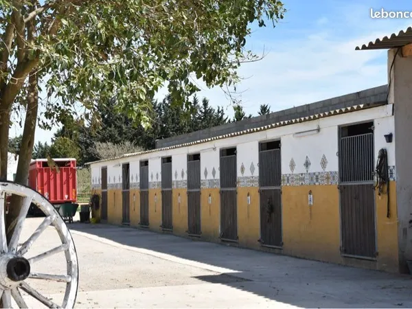 Local d’activité et entrepôt Vente Vauvert  80m² 450000€