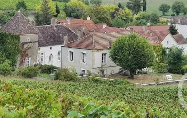 Maison 10 pièces 428 m²