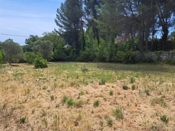 Maison 245 m²
