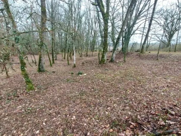 Terrain à vendre de 1 255,00 m² BALADOU (46)