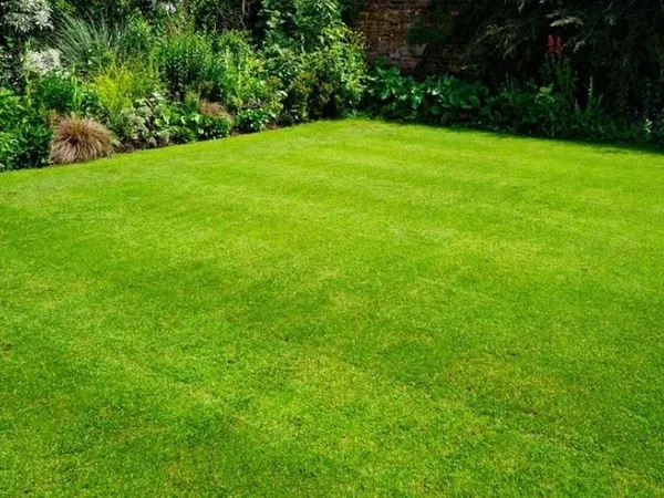 Terrain 905 m²