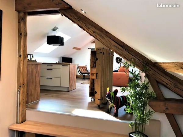 Splendide apt T2 de 78 M² 4 minutes frontière Suisse