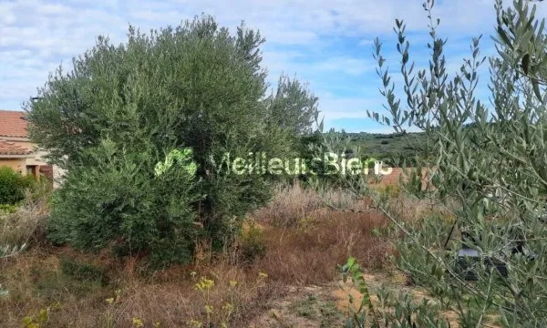 Terrain en individuel 268 m²