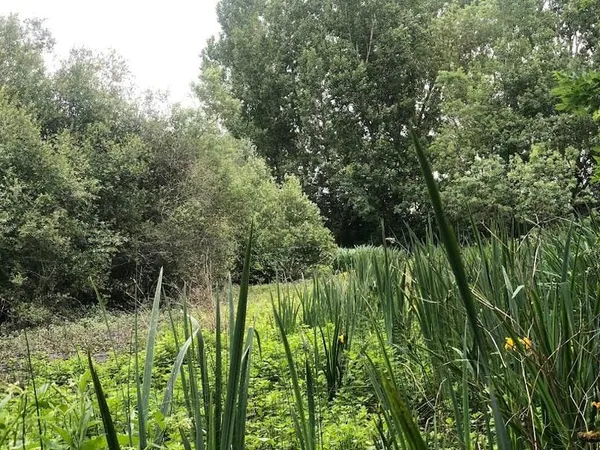 Terrain 230000 m²
