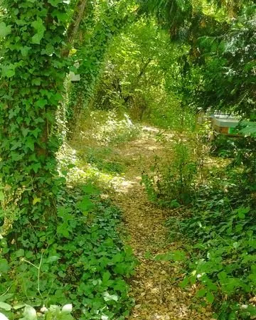 Terrain de loisir entièrement arboré au bord du canal, avec cabanon