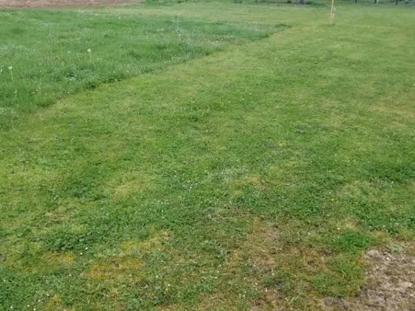 Terrain 515 m²