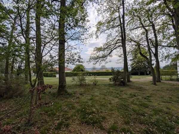 Terrain plat boisée les monts