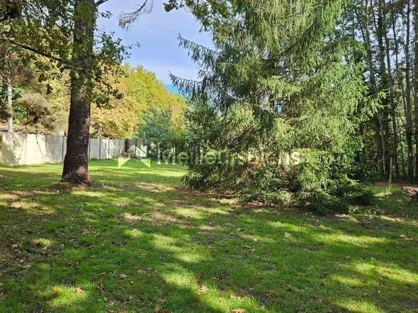 TRÉS BEAU TERRAIN À BÂTIR - CALME - OMBRAGÉ & ARBORÉ - 2.000 M² ENVIRON