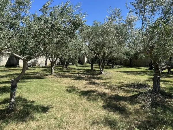 Ancone, Terrain constructible