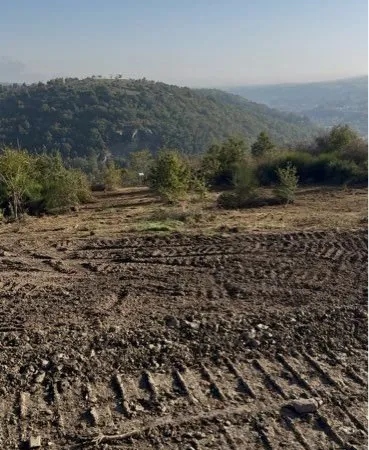 Terrain agricole