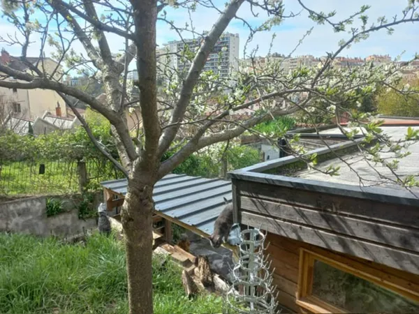 Maison 3 pièces 98 m²