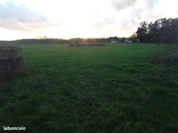Terrain constructible