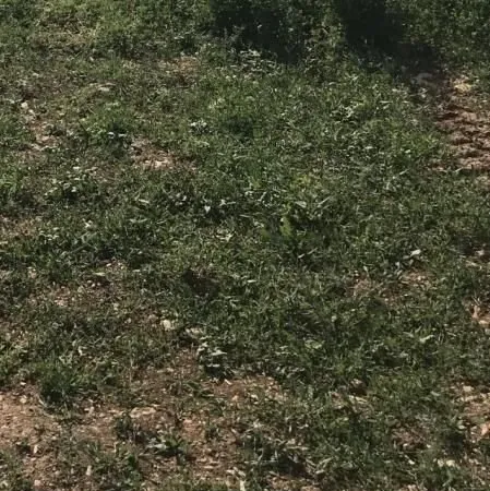 Terrain 658 m² Fontaines