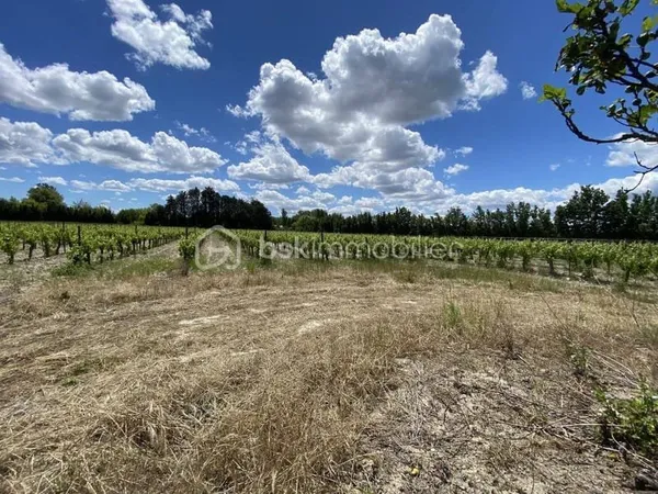 Terrain 30000 m²