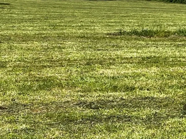 Terrain 1400 m²