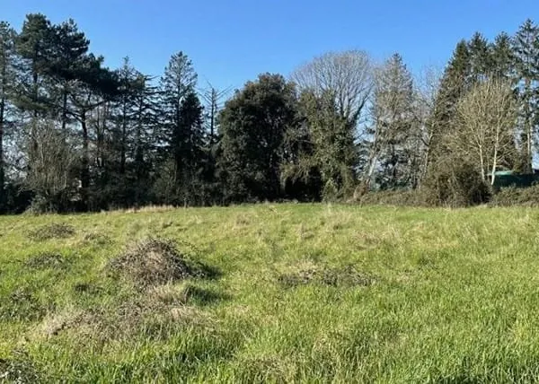Terrain 197 m²