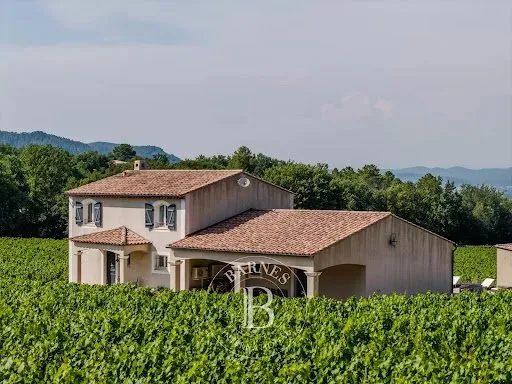 Vignoble 110000 m²