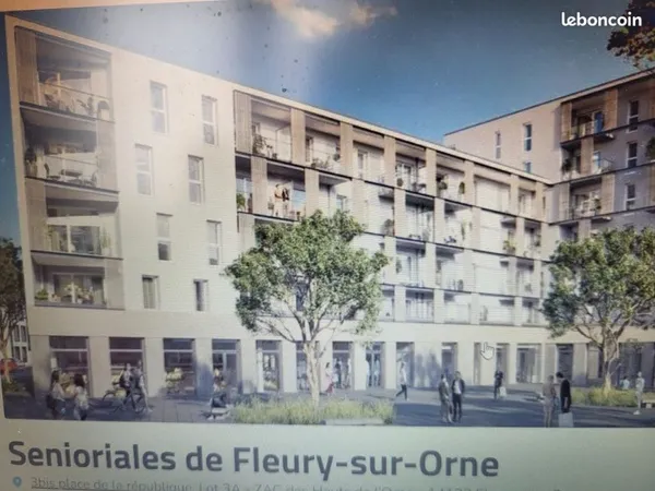 Très joli T2 récent les sénioriales FLEURY SUR ORNE